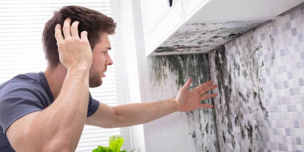 Mold Remediation: Man discovers mold growth on the wall, needing professional mold cleanup services in his DMV home for mold removal.