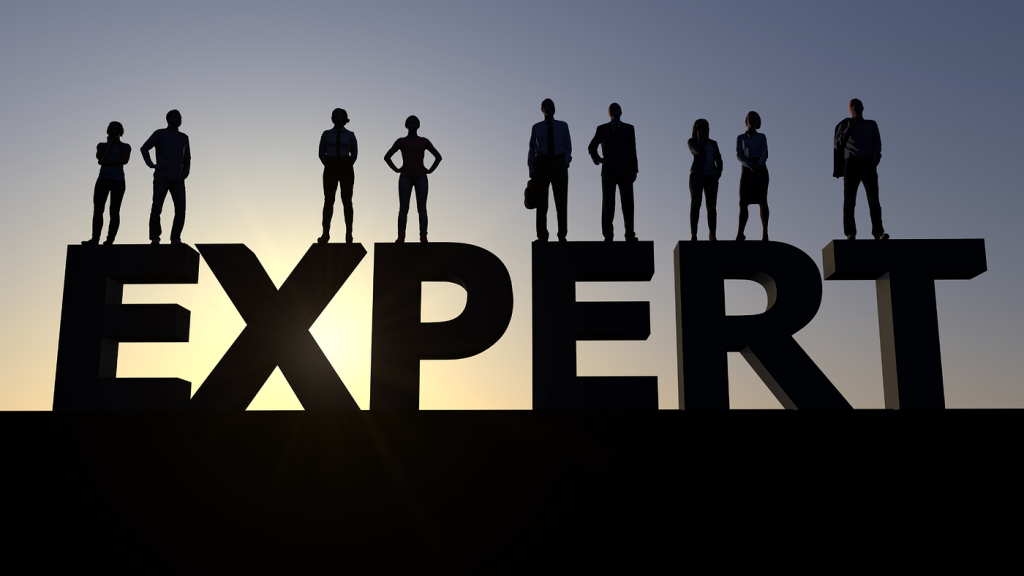Silhouetted figures stand atop the word EXPERT against a sunset sky, showing expertise and leadership in their respective business areas.