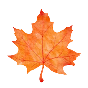 Watercolor painting of an orange maple leaf against a black backdrop, evoking the essence of autumn and seasonal change in the DMV.